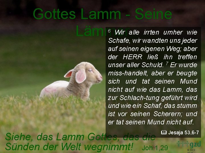 Gottes Lamm - Seine Wir alle irrten umher wie Lämmer Schafe, wir wandten uns