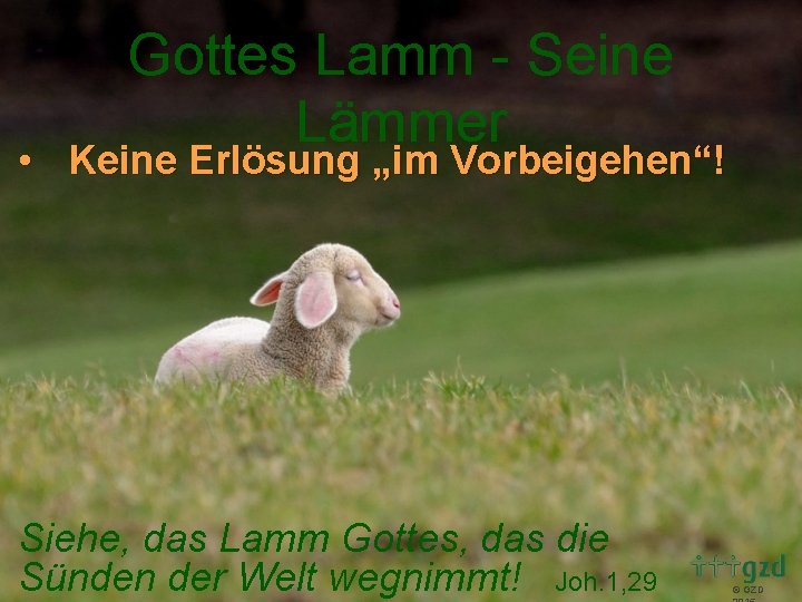 Gottes Lamm - Seine Lämmer • Keine Erlösung „im Vorbeigehen“! Siehe, das Lamm Gottes,