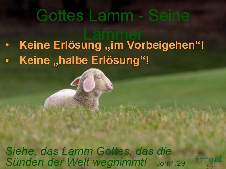 Gottes Lamm - Seine Lämmer • Keine Erlösung „im Vorbeigehen“! • Keine „halbe Erlösung“!