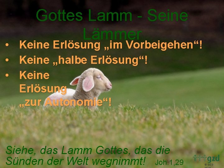  • • • Gottes Lamm - Seine Lämmer Keine Erlösung „im Vorbeigehen“! Keine