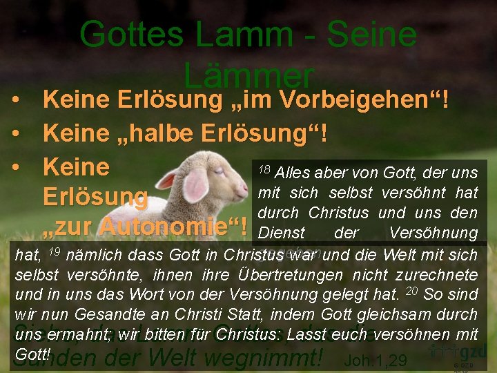  • • • Gottes Lamm - Seine Lämmer Keine Erlösung „im Vorbeigehen“! Keine