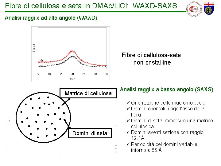 Fibre di cellulosa e seta in DMAc/Li. Cl: WAXD-SAXS Analisi raggi x ad alto