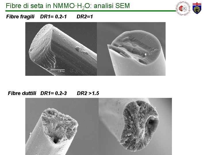 Fibre di seta in NMMO·H 2 O: analisi SEM Fibre fragili DR 1= 0.