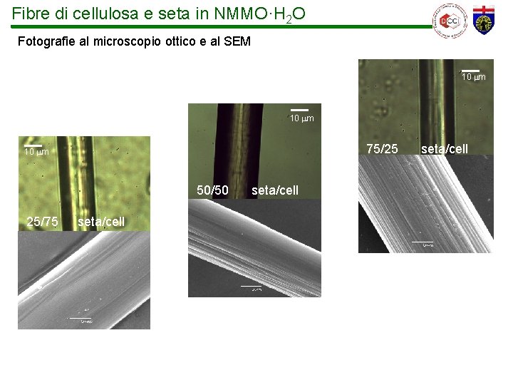 Fibre di cellulosa e seta in NMMO·H 2 O Fotografie al microscopio ottico e