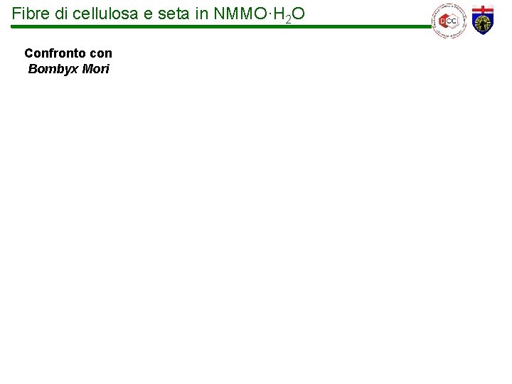 Fibre di cellulosa e seta in NMMO·H 2 O Confronto con Bombyx Mori 