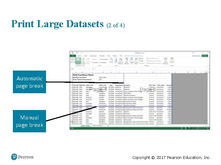 Print Large Datasets (2 of 4) Automatic page break Manual page break Copyright ©