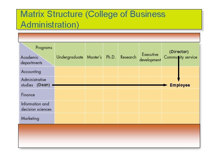 Matrix Structure (College of Business Administration) (Director) (Dean) Employee 