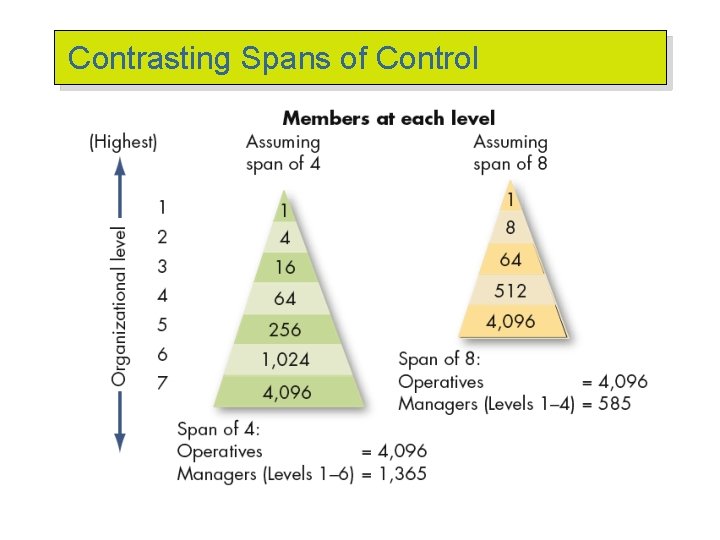Contrasting Spans of Control 