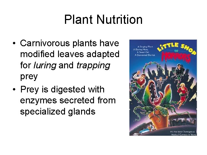 Plant Nutrition • Carnivorous plants have modified leaves adapted for luring and trapping prey