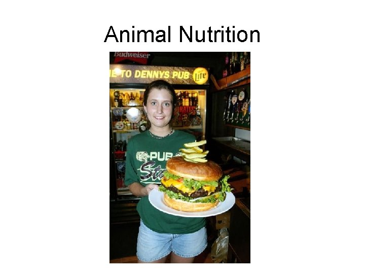 Animal Nutrition 