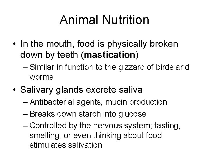 Animal Nutrition • In the mouth, food is physically broken down by teeth (mastication)