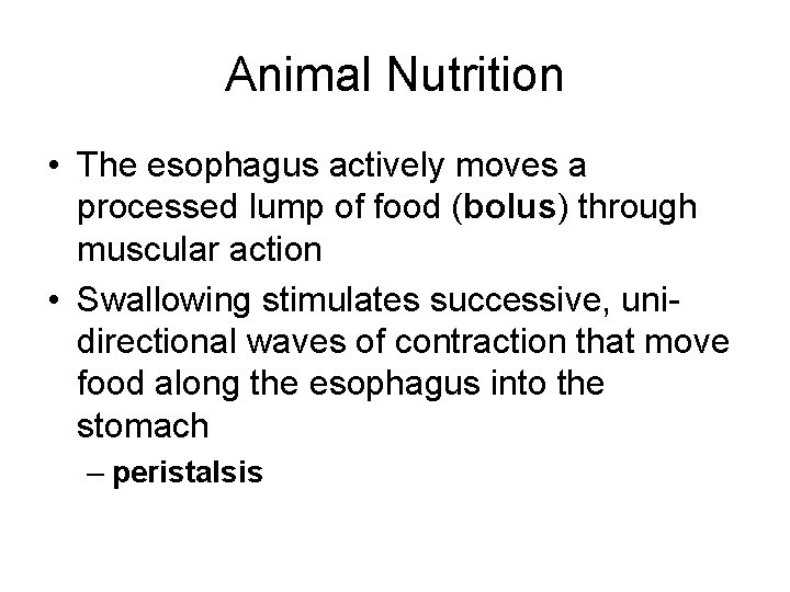 Animal Nutrition • The esophagus actively moves a processed lump of food (bolus) through