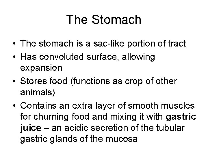 The Stomach • The stomach is a sac-like portion of tract • Has convoluted