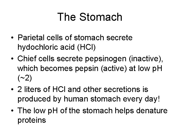 The Stomach • Parietal cells of stomach secrete hydochloric acid (HCl) • Chief cells