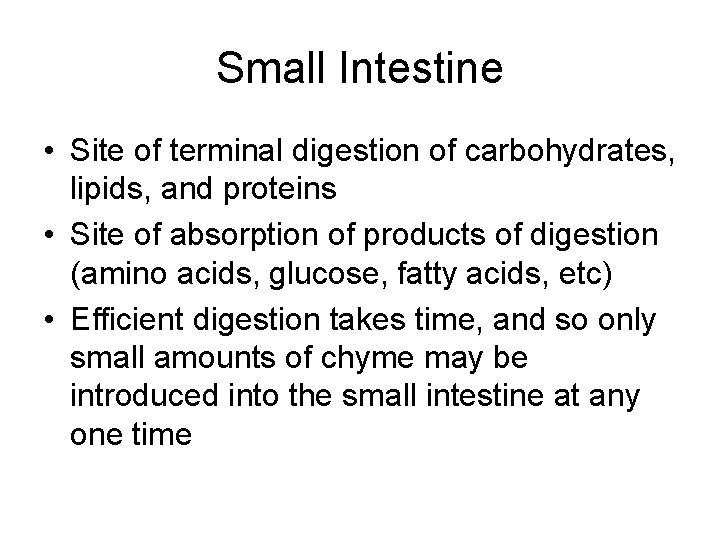 Small Intestine • Site of terminal digestion of carbohydrates, lipids, and proteins • Site