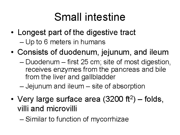 Small intestine • Longest part of the digestive tract – Up to 6 meters