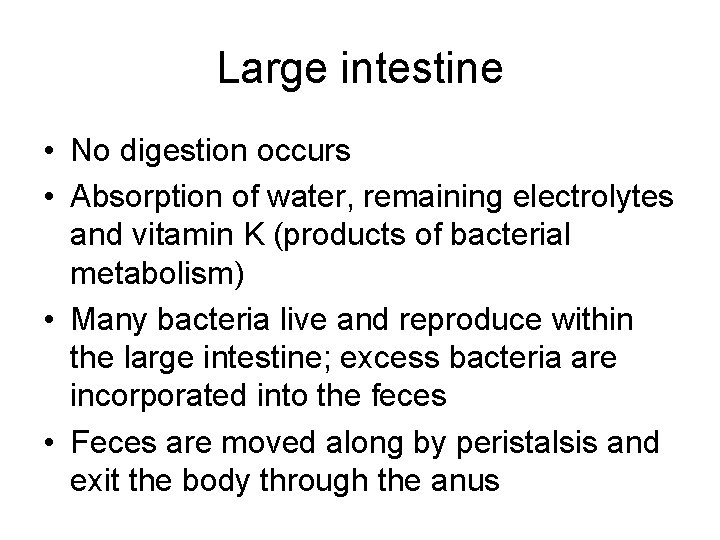 Large intestine • No digestion occurs • Absorption of water, remaining electrolytes and vitamin