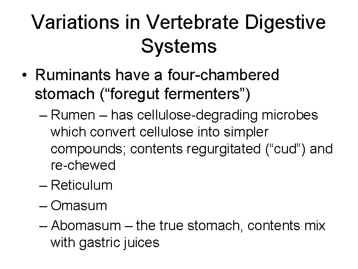 Variations in Vertebrate Digestive Systems • Ruminants have a four-chambered stomach (“foregut fermenters”) –