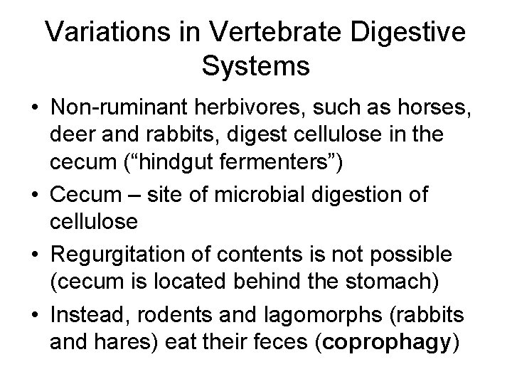 Variations in Vertebrate Digestive Systems • Non-ruminant herbivores, such as horses, deer and rabbits,