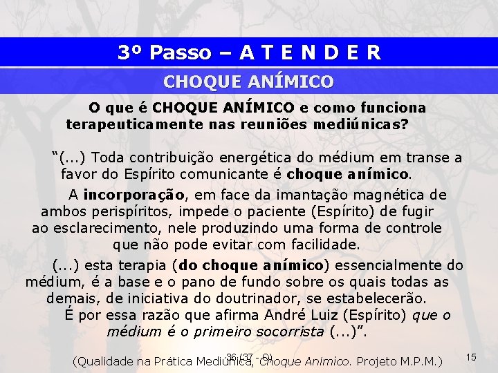 3º Passo – A T E N D E R CHOQUE ANÍMICO O que