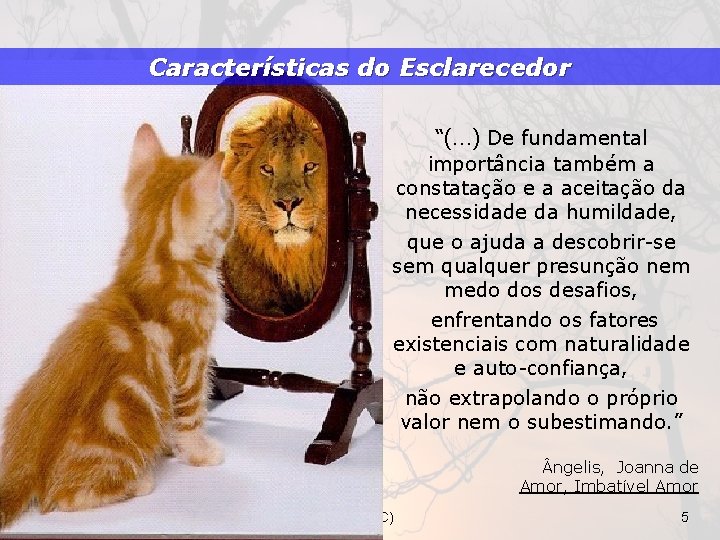 Características do Esclarecedor “(. . . ) De fundamental importância também a constatação e