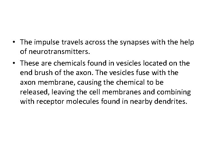 • The impulse travels across the synapses with the help of neurotransmitters. • • The impulse travels across the synapses with the help of neurotransmitters. •