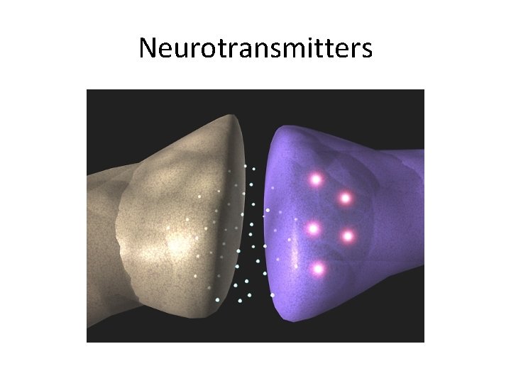 Neurotransmitters Neurotransmitters