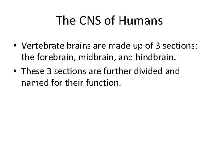 The CNS of Humans • Vertebrate brains are made up of 3 sections: the