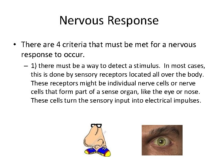 Nervous Response • There are 4 criteria that must be met for a nervous