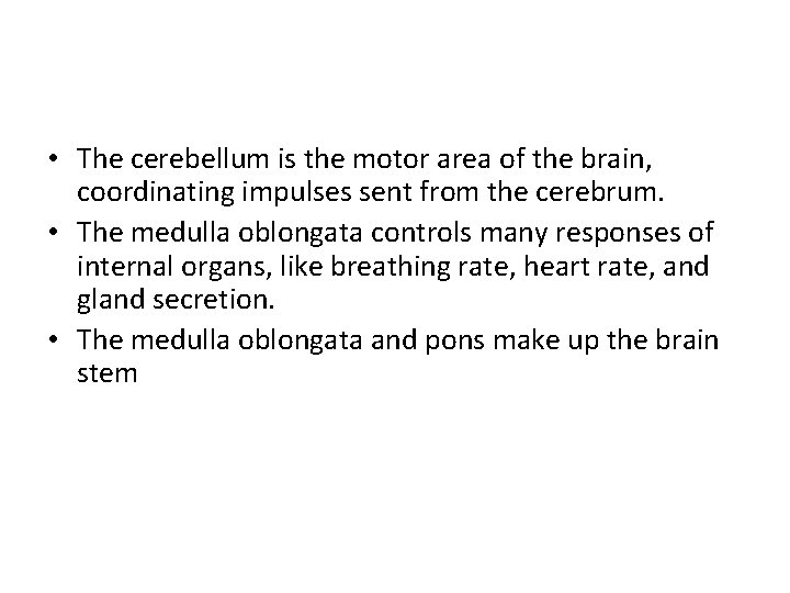  • The cerebellum is the motor area of the brain, coordinating impulses sent