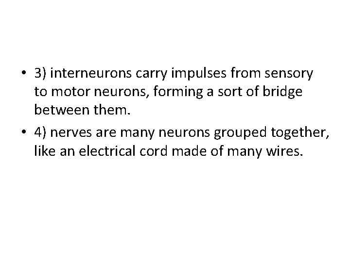  • 3) interneurons carry impulses from sensory to motor neurons, forming a sort
