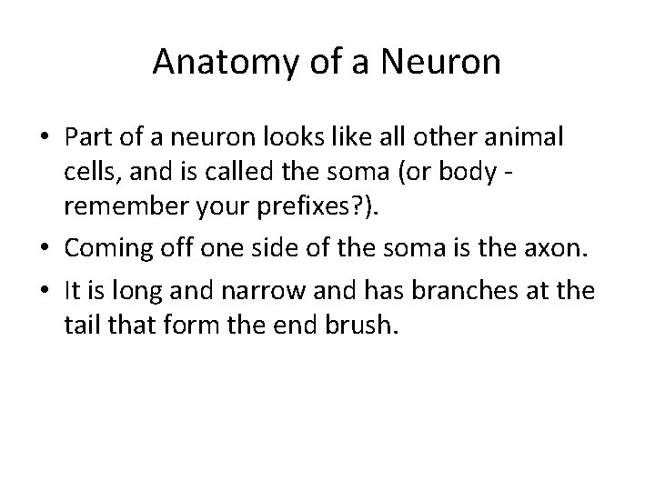 Anatomy of a Neuron • Part of a neuron looks like all other animal