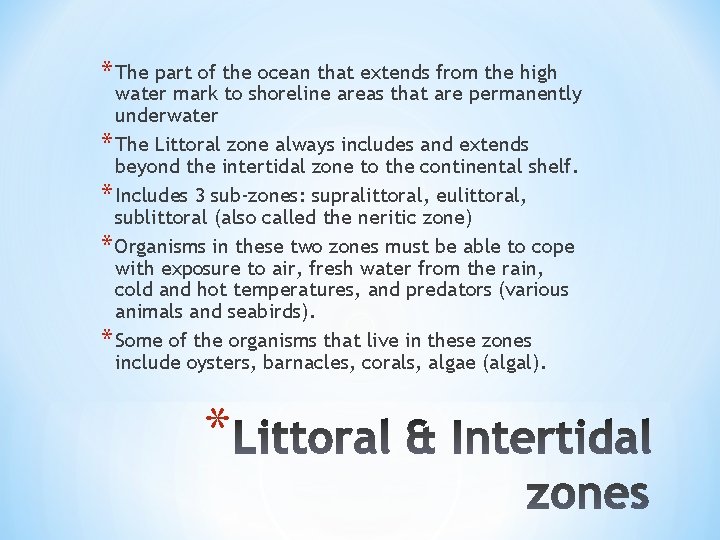 * The part of the ocean that extends from the high water mark to