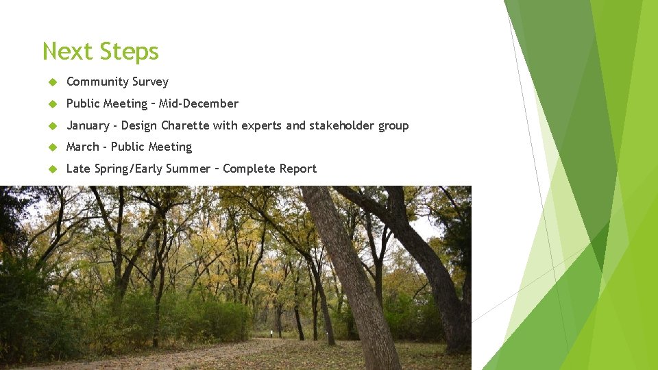 Next Steps Community Survey Public Meeting – Mid-December January - Design Charette with experts