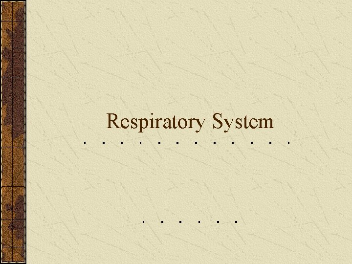 Respiratory System 