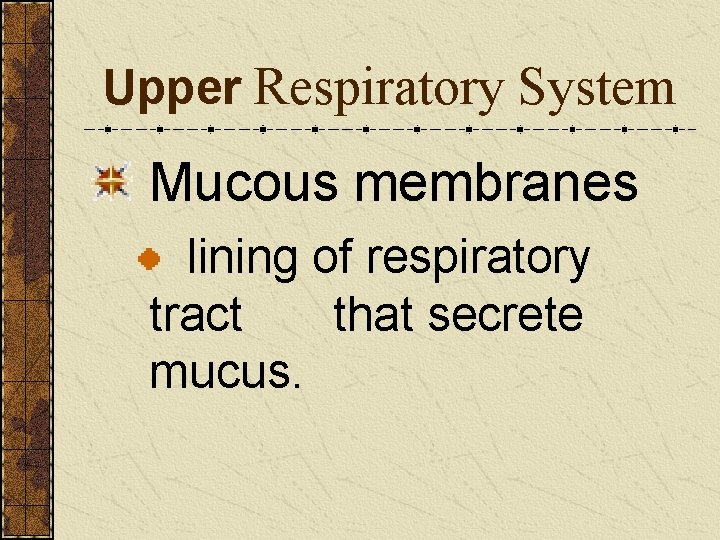 Upper Respiratory System Mucous membranes lining of respiratory tract that secrete mucus. 