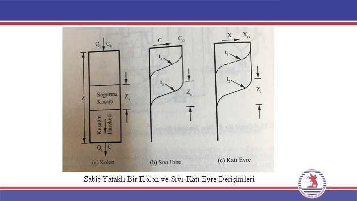 Sabit Yataklı Bir Kolon ve Sıvı-Katı Evre Derişimleri 