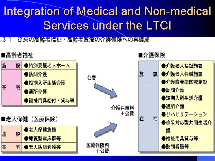 Integration of Medical and Non-medical Services under the LTCI 