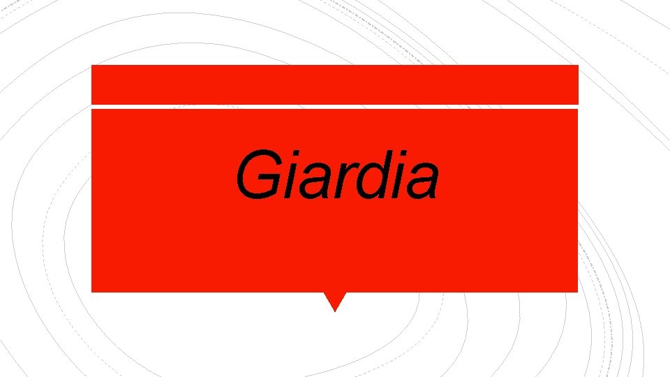 Giardia 