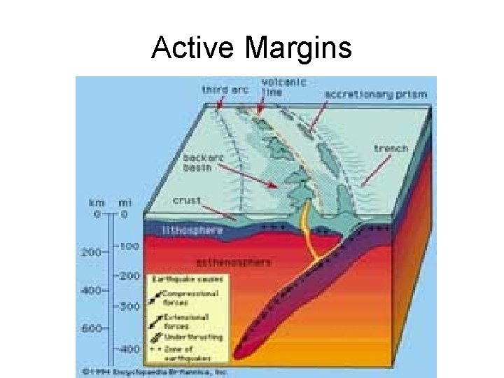 Active Margins 