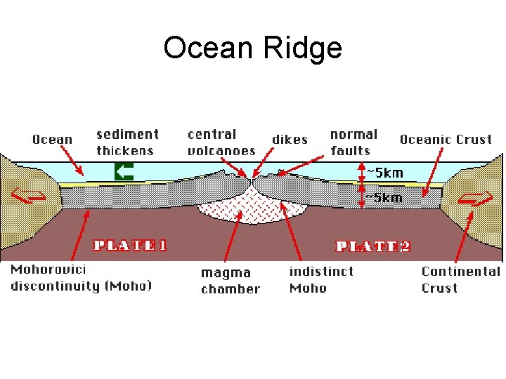 Ocean Ridge 