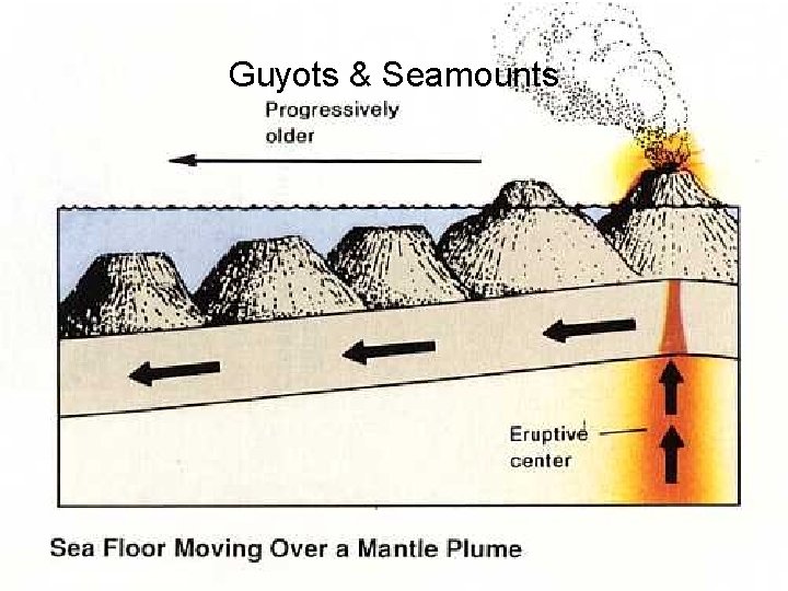 Guyots & Seamounts 