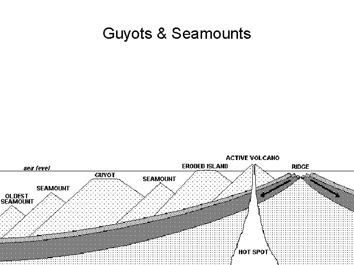 Guyots & Seamounts 
