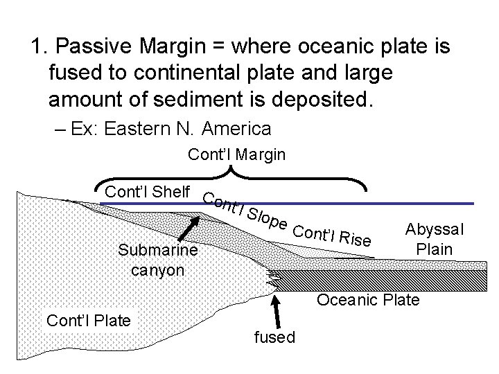 1. Passive Margin = where oceanic plate is fused to continental plate and large