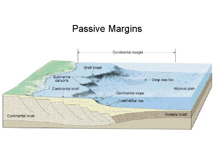 Passive Margins 