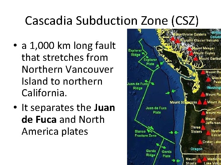 Cascadia Subduction Zone (CSZ) • a 1, 000 km long fault that stretches from