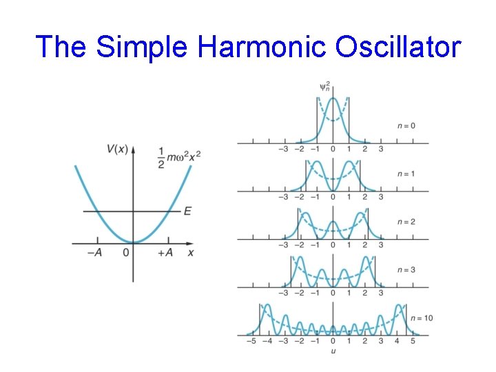 The Simple Harmonic Oscillator 