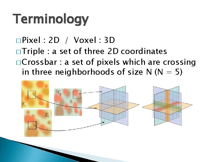 Terminology � Pixel : 2 D / Voxel : 3 D � Triple :