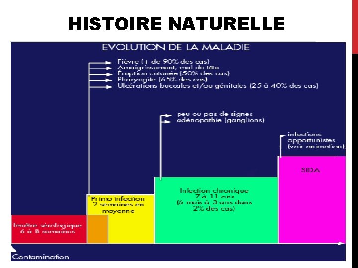 HISTOIRE NATURELLE 