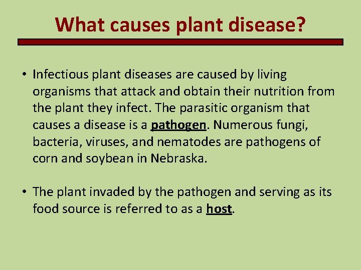 What causes plant disease? • Infectious plant diseases are caused by living organisms that